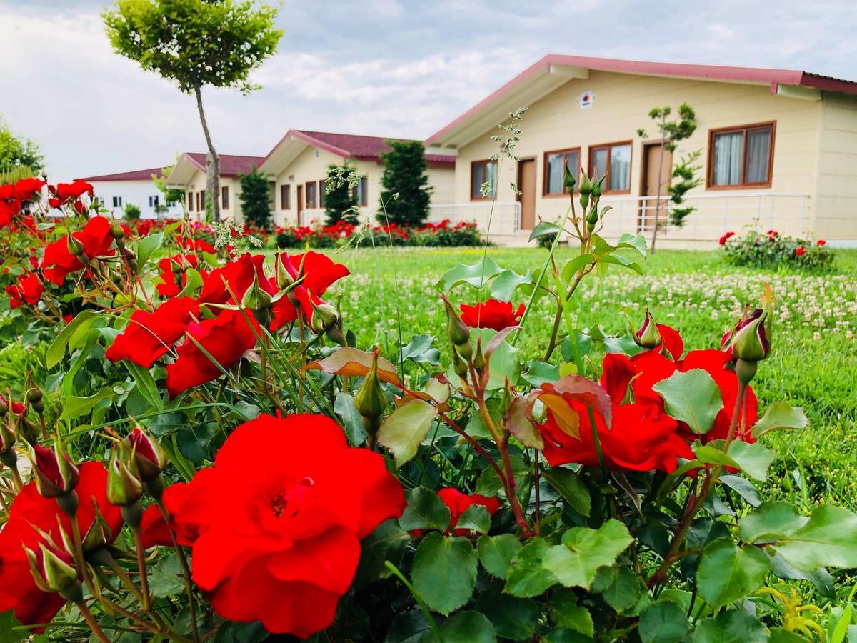 Hotel Rizom Tatil Koyu Samanli Exteriér fotografie
